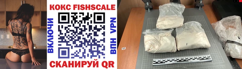 КОКАИН FishScale  продажа наркотиков  Тулун 